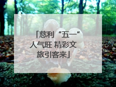 慈利“五一”人气旺 精彩文旅引客来