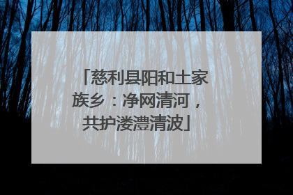 慈利县阳和土家族乡：净网清河，共护溇澧清波
