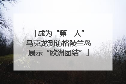 成为“第一人” 马克龙到访格陵兰岛展示“欧洲团结”