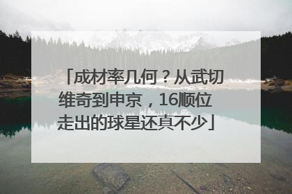 成材率几何？从武切维奇到申京，16顺位走出的球星还真不少