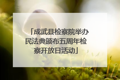 成武县检察院举办民法典颁布五周年检察开放日活动