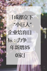 成都立下“小巨人”企业培育目标：力争三年新增350家