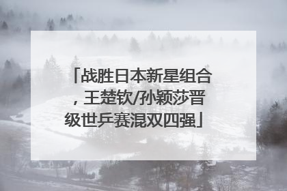 战胜日本新星组合，王楚钦/孙颖莎晋级世乒赛混双四强