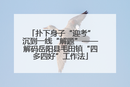 扑下身子“迎考” 沉到一线“解题”——解码岳阳县毛田镇“四多四好”工作法