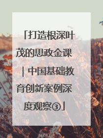 打造根深叶茂的思政金课｜中国基础教育创新案例深度观察③
