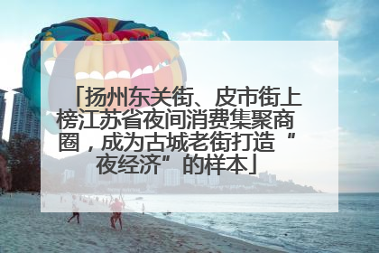 扬州东关街、皮市街上榜江苏省夜间消费集聚商圈，成为古城老街打造“夜经济”的样本