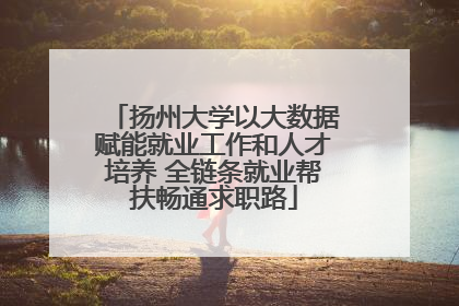 扬州大学以大数据赋能就业工作和人才培养 全链条就业帮扶畅通求职路