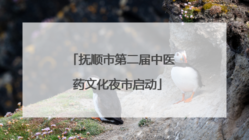 抚顺市第二届中医药文化夜市启动
