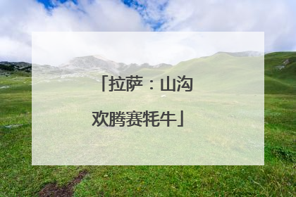 拉萨：山沟欢腾赛牦牛