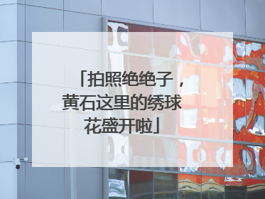 拍照绝绝子，黄石这里的绣球花盛开啦