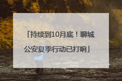 持续到10月底！聊城公安夏季行动已打响