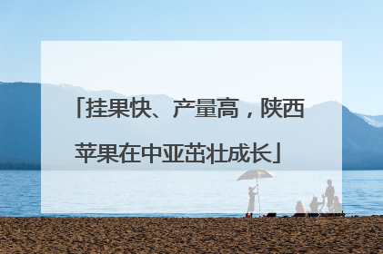 挂果快、产量高，陕西苹果在中亚茁壮成长