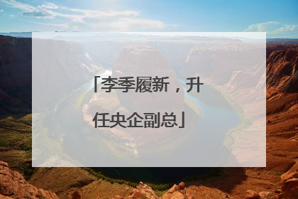 李季履新，升任央企副总