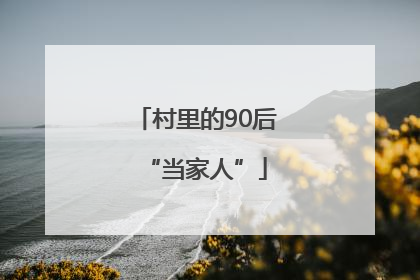 村里的90后“当家人”