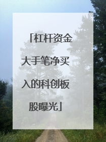 杠杆资金大手笔净买入的科创板股曝光