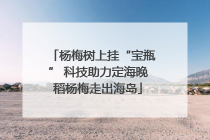 杨梅树上挂“宝瓶” 科技助力定海晚稻杨梅走出海岛