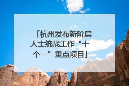 杭州发布新阶层人士统战工作“十个一”重点项目