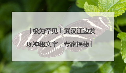 极为罕见！武汉江边发现神秘文字，专家揭秘