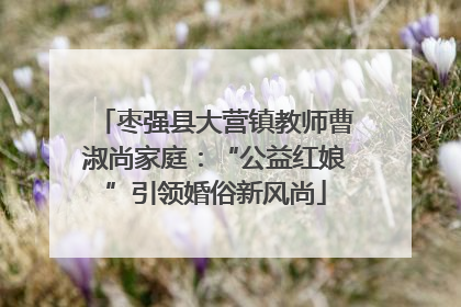 枣强县大营镇教师曹淑尚家庭：“公益红娘”引领婚俗新风尚