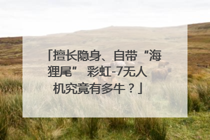 擅长隐身、自带“海狸尾” 彩虹-7无人机究竟有多牛？