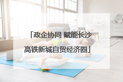 政企协同 赋能长沙高铁新城自贸经济圈