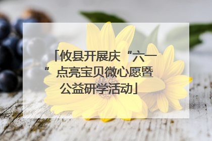 攸县开展庆“六一”点亮宝贝微心愿暨公益研学活动