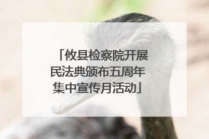 攸县检察院开展民法典颁布五周年集中宣传月活动