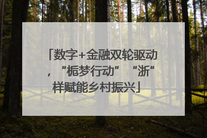 数字+金融双轮驱动，“栀梦行动”“浙”样赋能乡村振兴