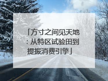 方寸之间见天地：从特区试验田到提振消费引擎