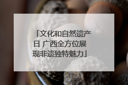文化和自然遗产日 广西全方位展现非遗独特魅力