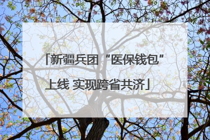 新疆兵团“医保钱包”上线 实现跨省共济
