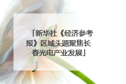 新华社《经济参考报》区域头题聚焦长春光电产业发展