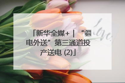新华全媒+｜“疆电外送”第三通道投产送电 (2)