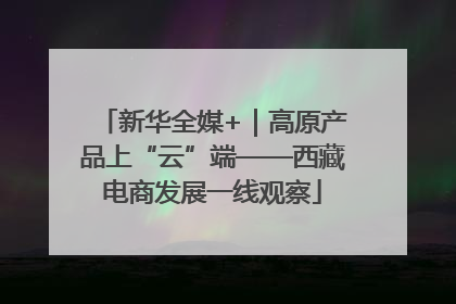 新华全媒+｜高原产品上“云”端——西藏电商发展一线观察