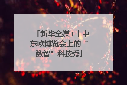 新华全媒+丨中东欧博览会上的“数智”科技秀