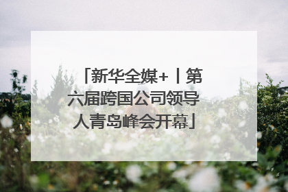 新华全媒+丨第六届跨国公司领导人青岛峰会开幕