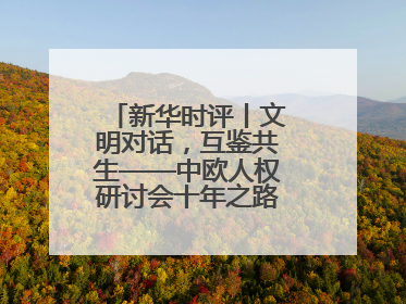 新华时评丨文明对话，互鉴共生——中欧人权研讨会十年之路的深刻启示
