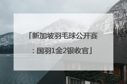新加坡羽毛球公开赛：国羽1金2银收官