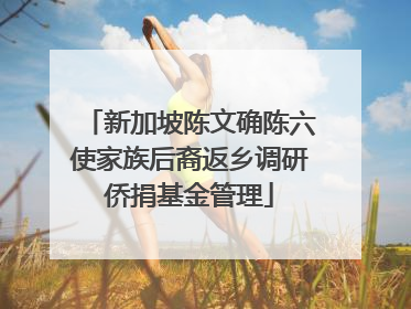 新加坡陈文确陈六使家族后裔返乡调研侨捐基金管理
