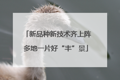 新品种新技术齐上阵 多地一片好“丰”景