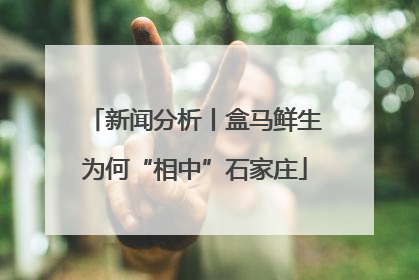 新闻分析丨盒马鲜生为何“相中”石家庄