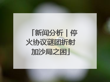 新闻分析｜停火协议谜团折射加沙局之困