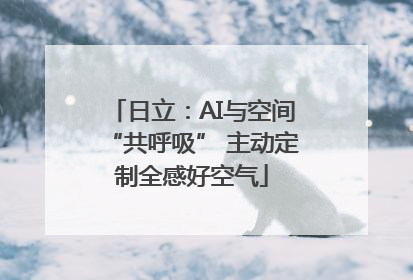 日立：AI与空间“共呼吸” 主动定制全感好空气