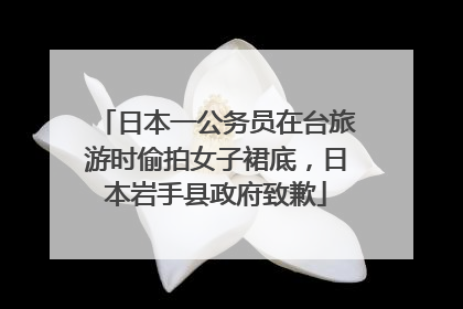 日本一公务员在台旅游时偷拍女子裙底，日本岩手县政府致歉