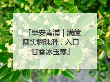 早安青浦｜满筐圆实骊珠滑，入口甘香冰玉寒