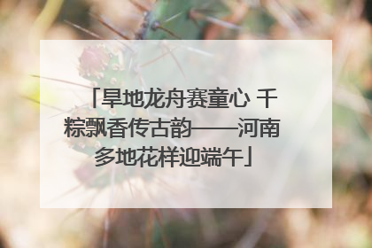 旱地龙舟赛童心 千粽飘香传古韵——河南多地花样迎端午