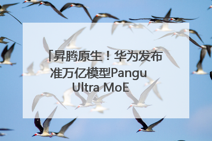 昇腾原生！华为发布准万亿模型Pangu Ultra MoE模型架构和训练细节
