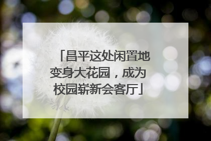 昌平这处闲置地变身大花园，成为校园崭新会客厅