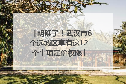 明确了！武汉市6个远城区享有这12个事项定价权限