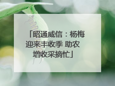 昭通威信：杨梅迎来丰收季 助农增收采摘忙